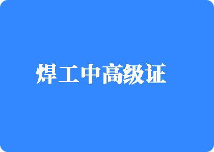 大鸡巴插入女生逼免费网站焊工中高级证